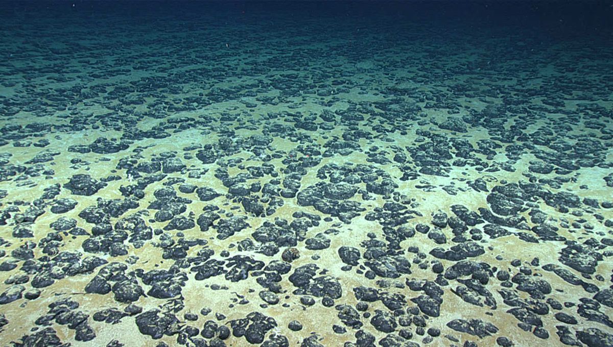 In A World-First, US To Sell Deep-Sea Mining Leases For Over 30 Million Acres Off American Samoa