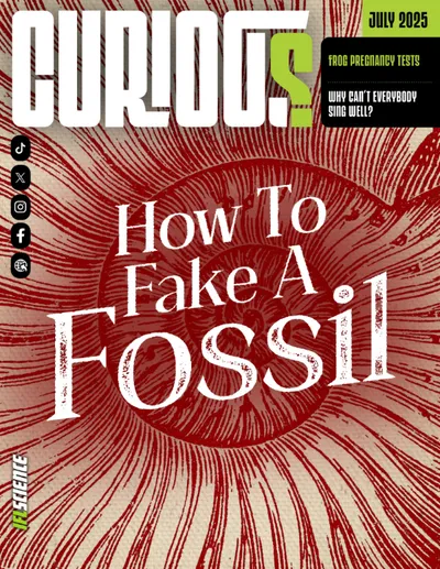 CURIOUS Magazine Issue 20 - Does technology help or harm grief?