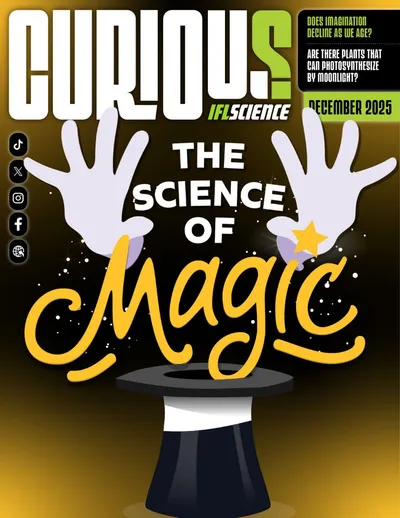 CURIOUS Magazine Issue 21 - Do Animals Have Friends?